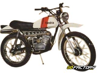 Moto 50cc Flandria TZR avant 2003